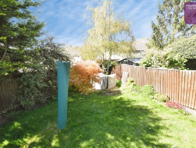Picture 15